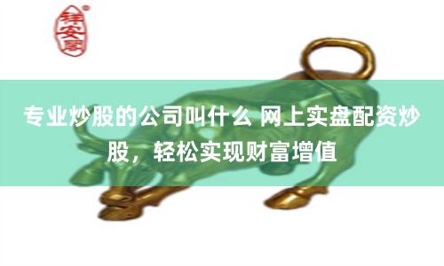 专业炒股的公司叫什么 网上实盘配资炒股，轻松实现财富增值