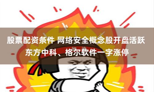 股票配资条件 网络安全概念股开盘活跃 东方中科、格尔软件一字涨停